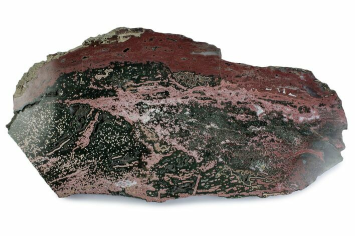 Polished Orbicular Ocean Jasper Slab - Madagascar #379345